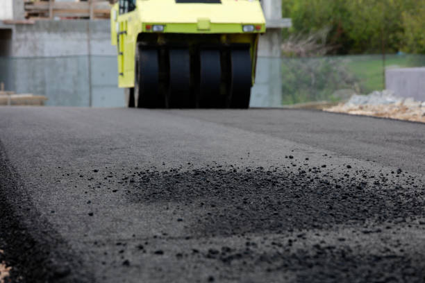 Best Custom Driveway Pavers  in Pine Bluff, AR