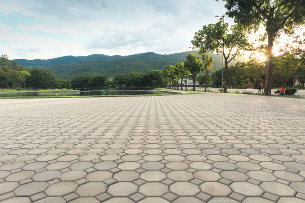 Best Custom Driveway Pavers  in Pine Bluff, AR